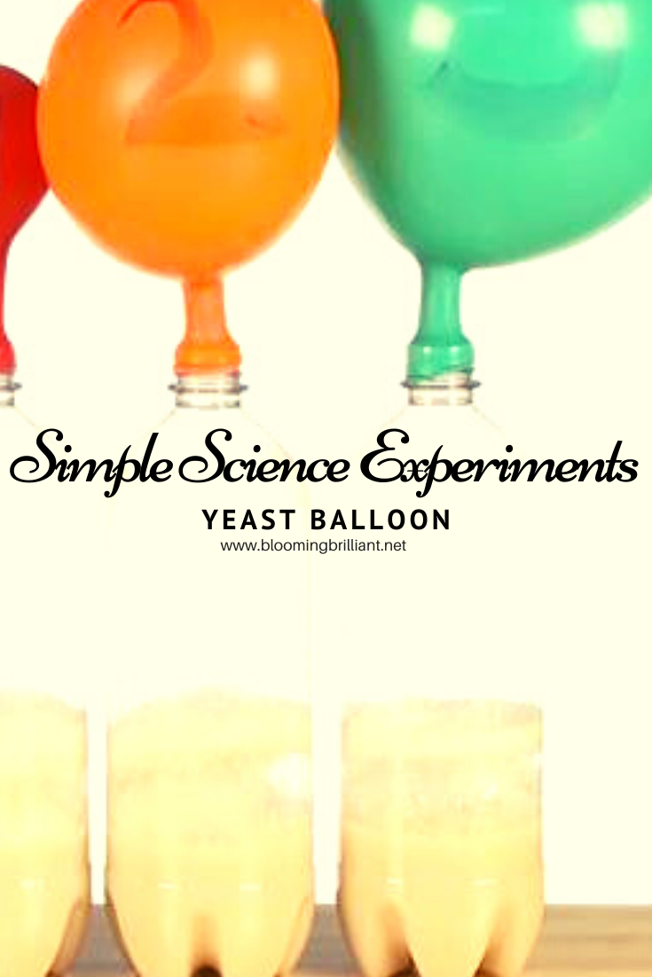 Yeast Balloon Experiment. Simple and Fun Science Experiments for Kids.