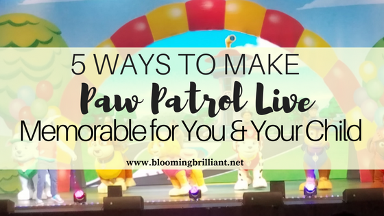 5 ways to make Paw Patrol Live memorable for you and your child.