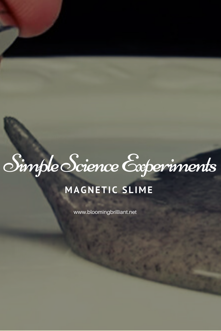 Explore Magnetic Slime in another Super Simple Experiment for Children. Learn abour Magnetism, Polymers, Adhesion and Cohesion and so much more. Your kids will love this DIY Magnetic Slime.