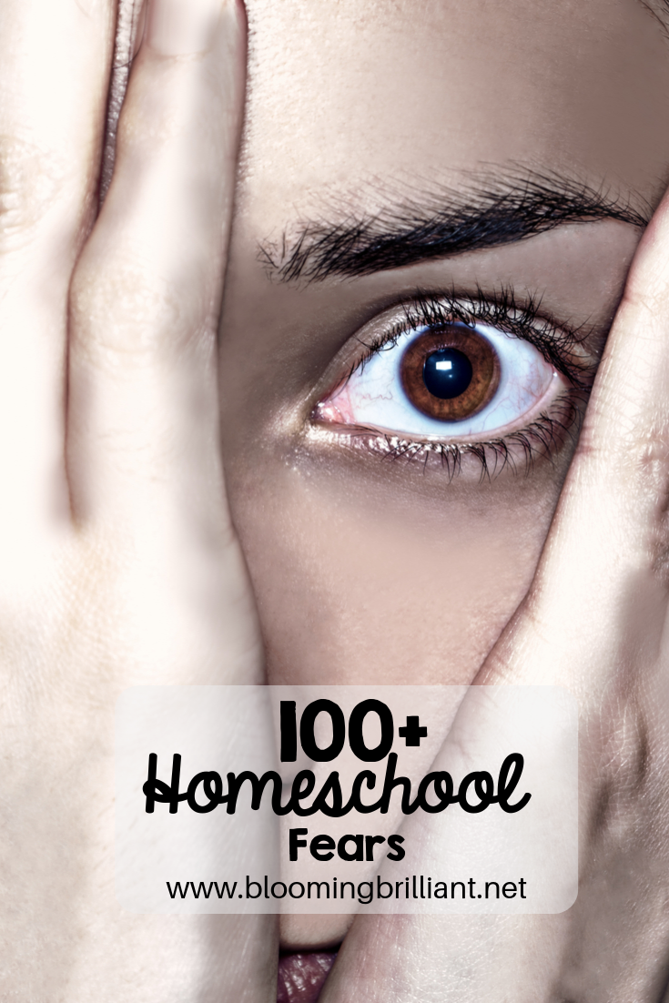 100+ Homeschool Fears we are all guilty of