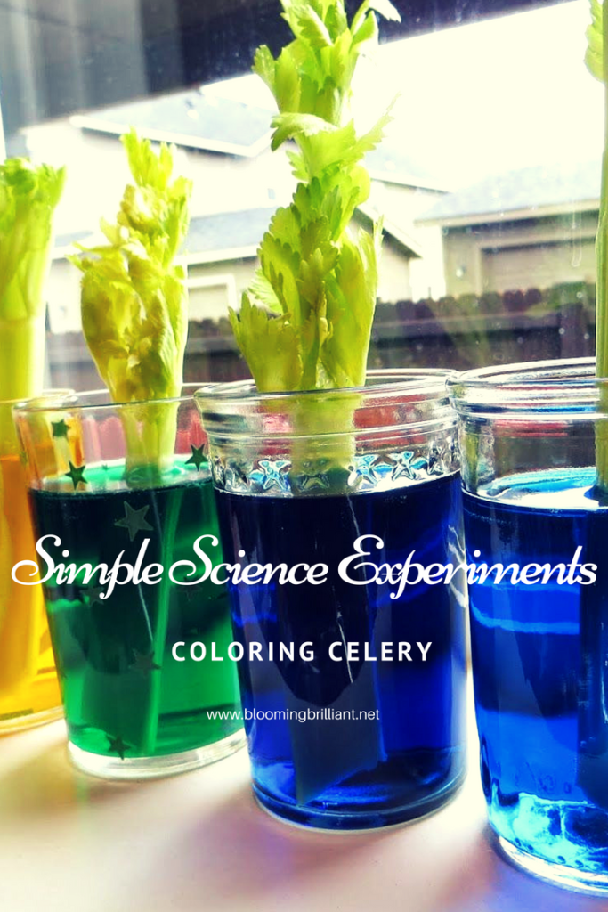 Simple Science Experiment for Kids- Coloring Celery