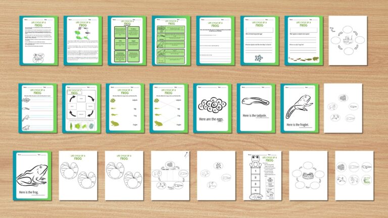Frog Life Cycle Activity: Hands-On Learning for Homeschoolers Blog Banner